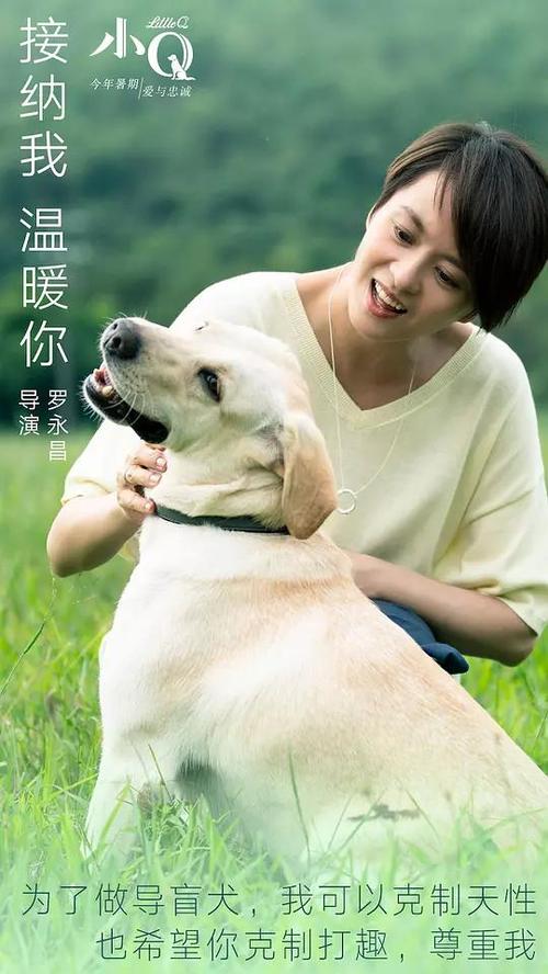 特里尔大学学生卡